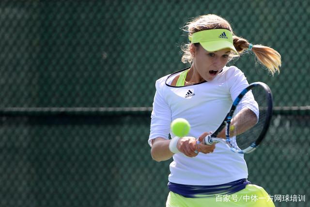 灰熊似乎在 灰熊似乎在