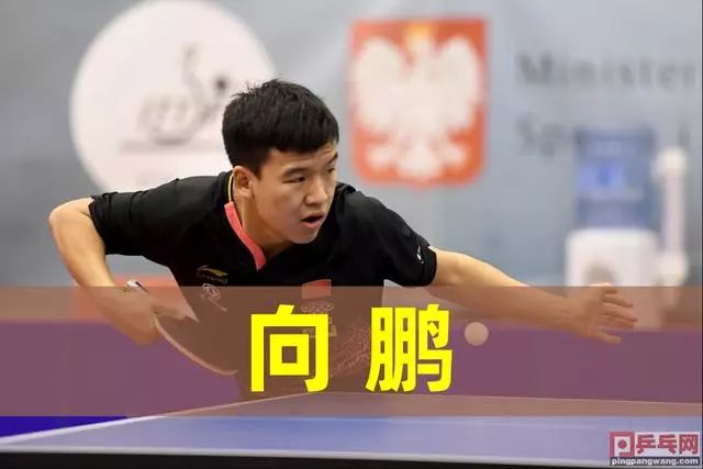 括强化乒乓