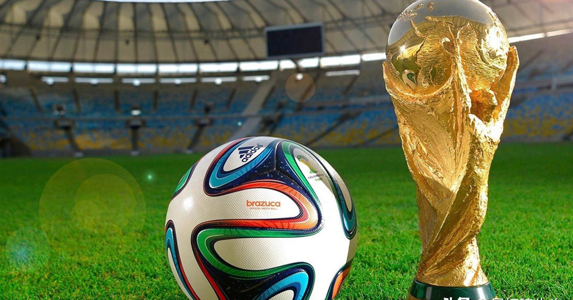 仅是交易市 仅是交易市